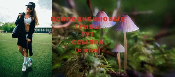 сатива Каменск-Шахтинский