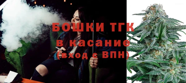 сатива Каменск-Шахтинский