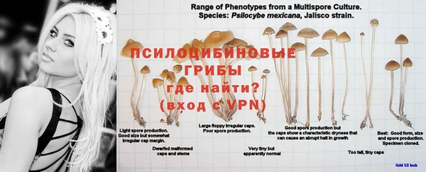 прущая мука Каменка