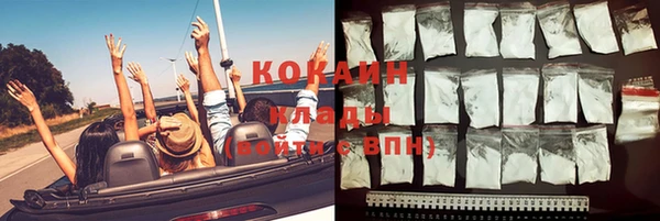 прущая мука Каменка