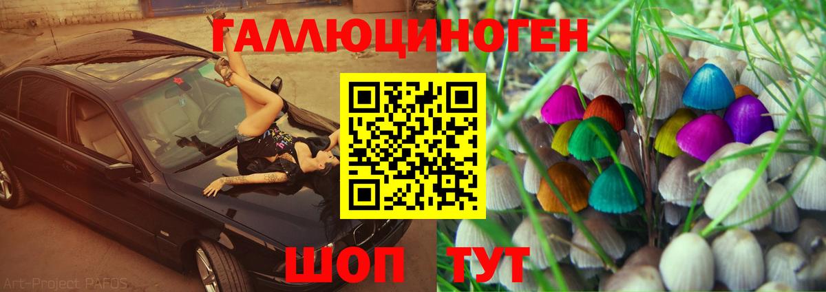 Галлюциногенные грибы Cubensis Кубинка